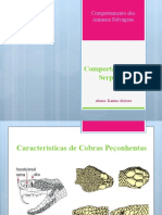 Serpentes do Nordeste: Características e Comportamentos