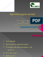 Aula 2 Aprendizagem Animal 1