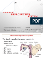 Lecture 3, Female Reproductive System Part 1, Embryology GS