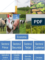 agricultura_romaniei