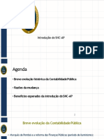 Introdução do SNC-AP: evolução, benefícios e desafios