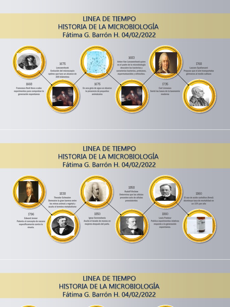 Linea de Tiempo Historia de La Microbiología | PDF | Microbiología ...
