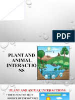 Plant and Animal Interactions