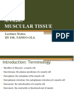 ANA205 Muscular Tissue: Lecture Notes by Dr. Taiwo-Ola