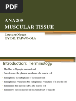 ANA205 Muscular Tissue: Lecture Notes by Dr. Taiwo-Ola