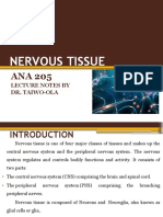 Nervous Tissue Ana 205