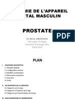 Prostate 1