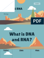 DNA and RNA: The Building Blocks of Life