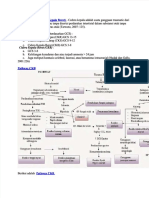 PDF Pathway CKB Compress