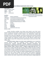 Download tanaman nimba - fistum by Hajah Sofyamarwa Rachmawati SN56556358 doc pdf