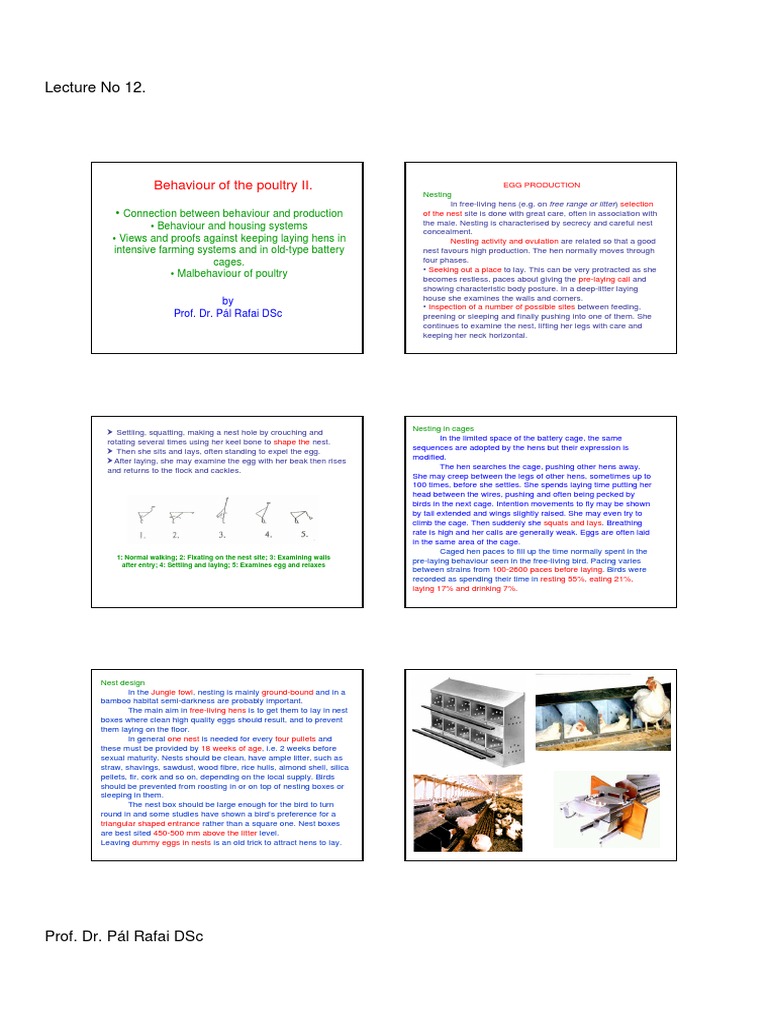 Behaviour of The Poultry II | PDF | Poultry Farming | Chicken
