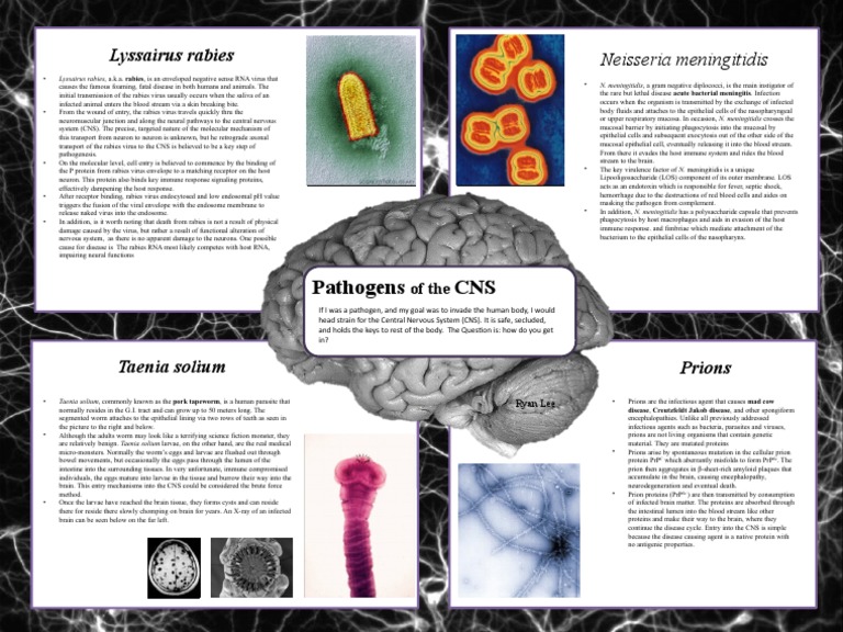 Prions and Rabies: CNS Pathogens | PDF | Rabies | Pathogen