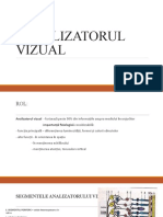 Analizator Vizual