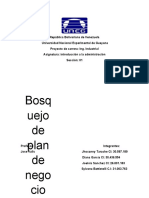 Bosquejo Plan de Negocio