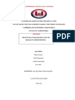 Presentacioon Protocolo para Produccion de Bacillus Thuringiensis