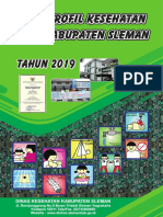 Profil Kesehatan Kabupaten Sleman 2019