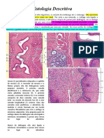 Histologia Descritiv1