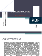 Deuteromycetes