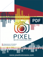 Final - Report - Pixel 2