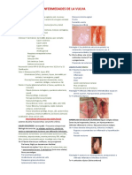 Enfermedades de Vulva