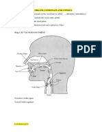 Review 1: Speech Organs, Consonats and Vowels.: Consonants