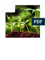Agricultural Biotechnology: Applications and Advantages