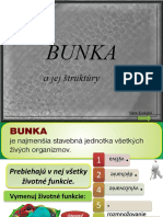 Bunka