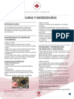 16 - Picaduras y Mordeduras