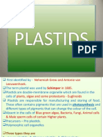 Plastid S