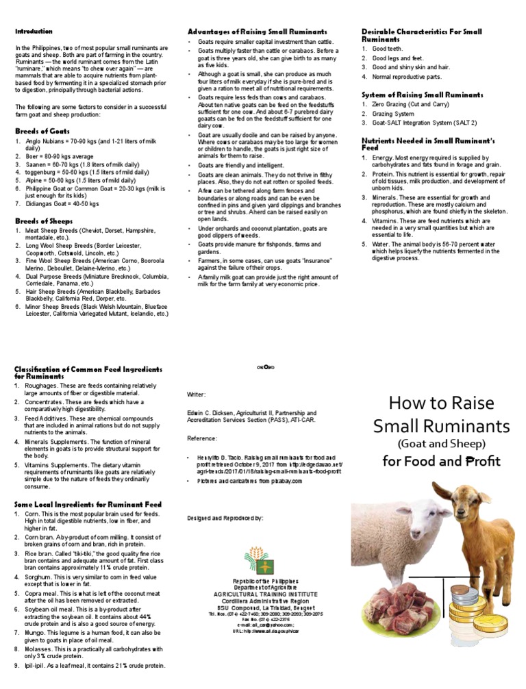 Small Ruminants PDF Goat Ruminant