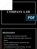 Company Law Part i