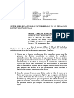 2008-88 Lesiones Leves Informe