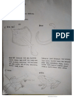 UTS Praktek Tax inver (Mila Ariska Dewi)