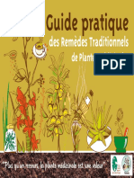 Guide Pratique Remedes Traditionnels