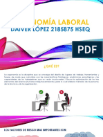 HSEQ - Ergonomia DAIVER LOPEZ PADILLA