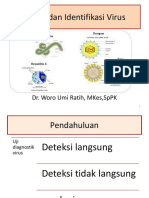 Isolasi Dan Identifikasi Virus