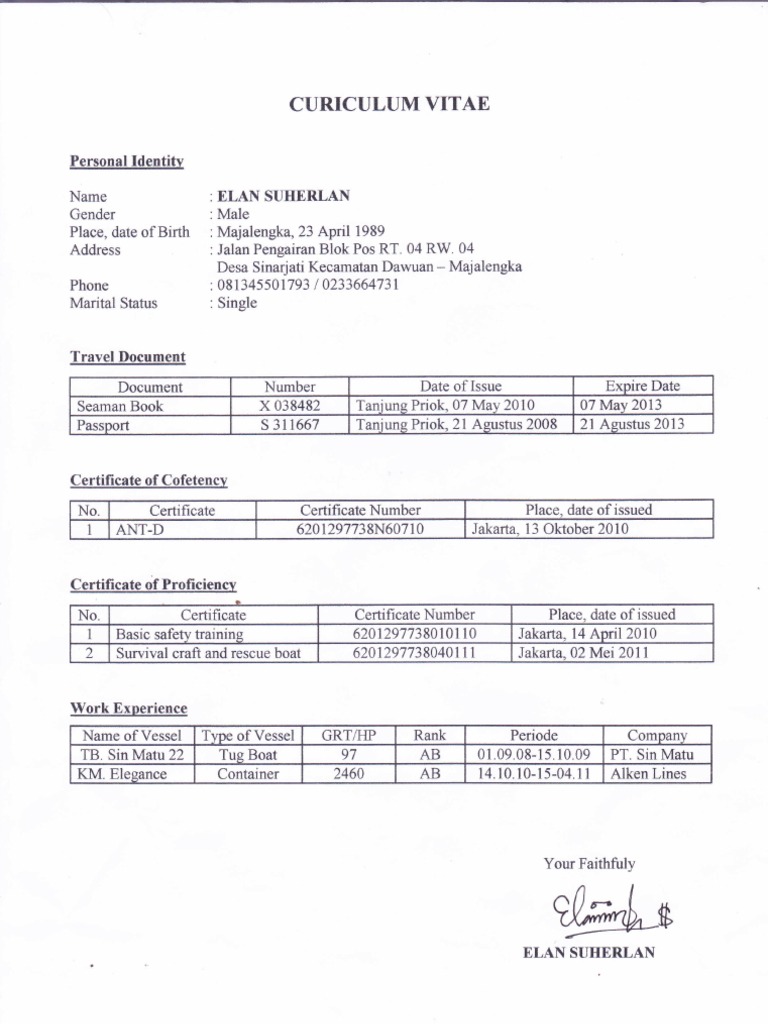 CV 1 | PDF
