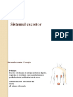 sistemul_excretor (1)