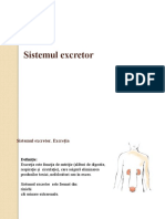 Sistemul Excretor