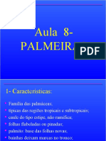 PLANTAS ORNAMENTAIS - PALMEIRAS