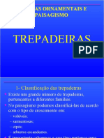 Plantas Ornamentais - Trepadeiras