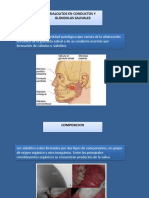 Sialolitos Diapositivas