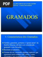 PLANTAS ORNAMENTAIS -GRAMADOS