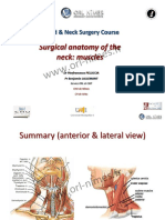 Surgical Anatomy of The Neck: Muscles