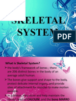 Skeletal System Fourth Grp.