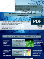 VI Comportamiento Del Consumidor