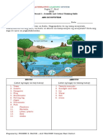 Quiz Answer Key - Ang Ecosystem