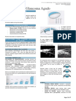 Clase 16 Glaucoma Agudo