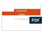 ANATOMI