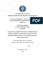 Causas de La Corrupción en El Poder Judicial. Castillo Chávarry Rider